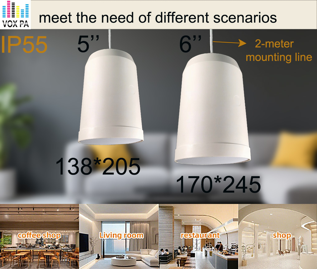 IP55 Full Range Hanging Speaker 5 Inch Commercial Pendant Speakers 2m Line