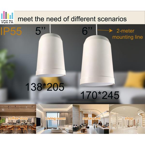 10w/5w 5-inch Hanging Speaker IP55 Waterproof Full Range Speaker with 2-meter Mounting Line
