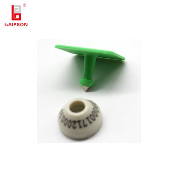 134.2Mhz HDX/FDX-B LF RFID Swine Boar Sheep Ear Tag For Farm Tracking