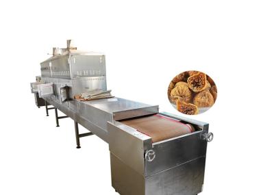 Fig Conveyor Belt Food Sterilization Equipment Speed Adjustable Stainless Steel
