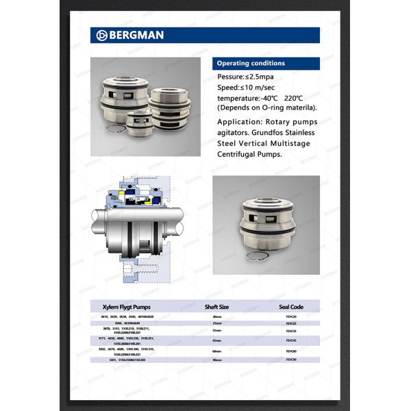 ISO9001-2015 Certified Replace Flygt FQL-60mm Pump Mechanical Seal with Tungsten Carbide TC Lower Seal