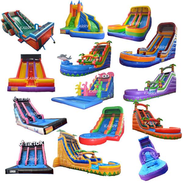 Stimulating Alpine Slide for Adults Inflatable Water Slide Pool Kids Indoor Slide
