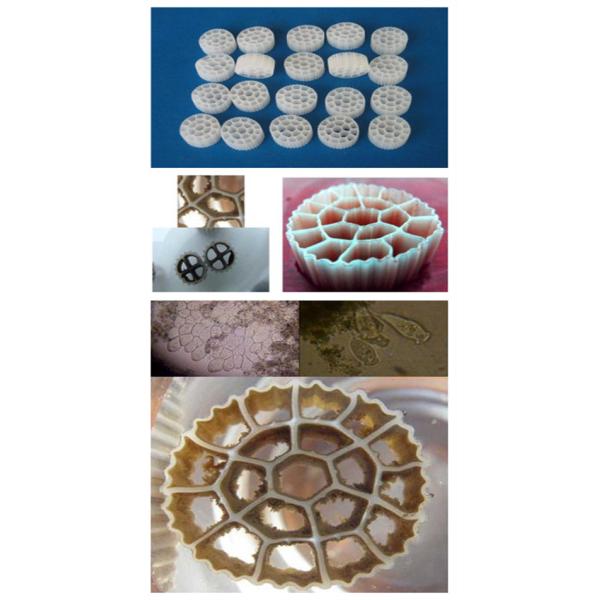 Colombie MBBR Lit mobile Réacteur à biofilm Filtre à eau Machine de purification des eaux usées