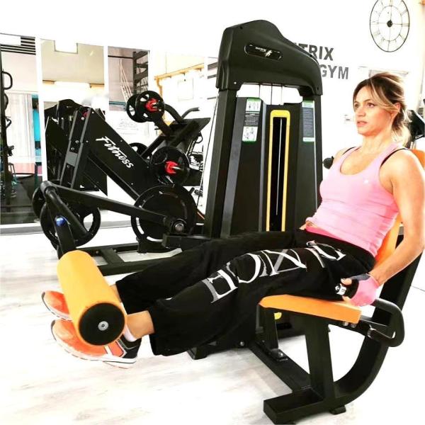 Life Fitness Commercial Gym Equipment Pin Load Selection Leg Extension/Curl Machine