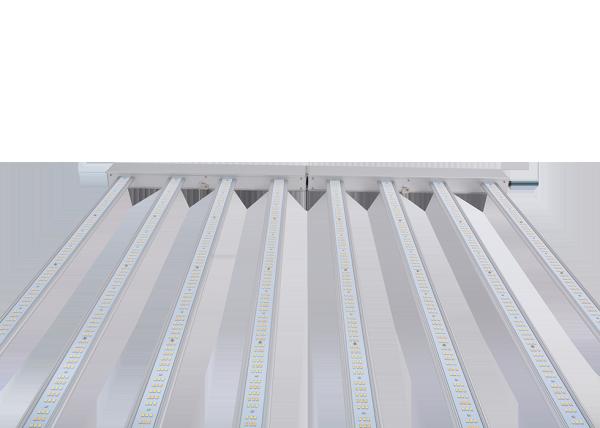 AC277V 2.5umol/J 600 Watt LED Grow Lights For Indoor Plants
