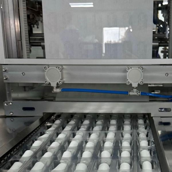 Elastic Non Stick Bandage Fluff Dried Absorbent Sterile Gauze Dressings