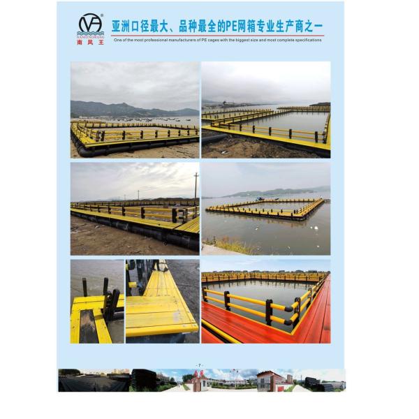 Abalone loisirs Aquaculture Cage à poissons Carré circulaire pour l'élevage de poissons flottants