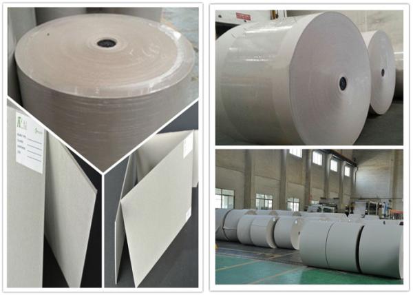 Anti-Curl Matte from 300gsm to 650gsm Grey Paper Roll for Offset Printing