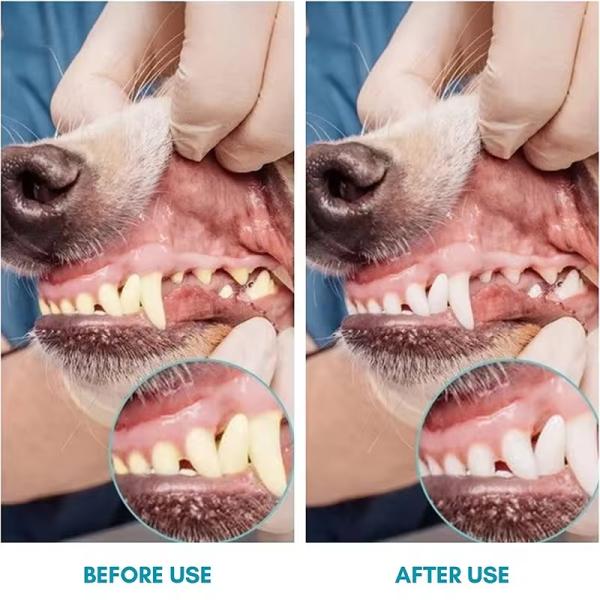 Brosse à dents douce pour chien Brosse à doigts en silicone Brosse à doigts pour chiot Nettoyage des dents facile