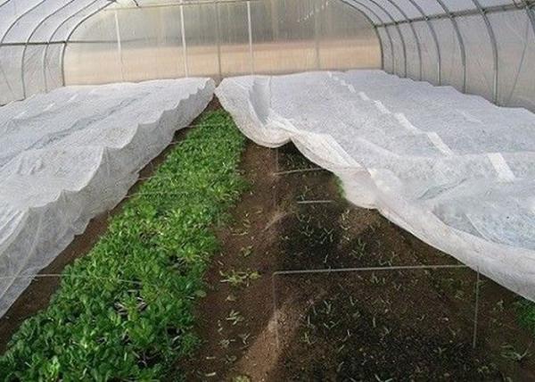 PP Nonwoven Winterproof Cloth Ultra-wide Customed Width Color
