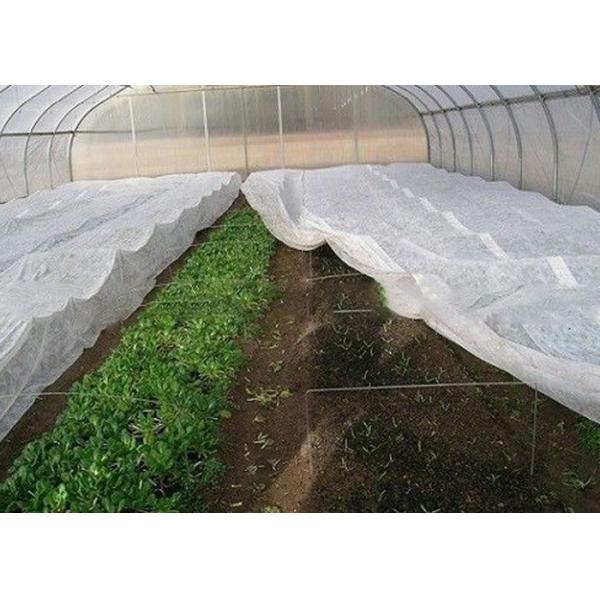 High Tensible , Durable PP Spunbond Nonwoven for Agricultural Textile