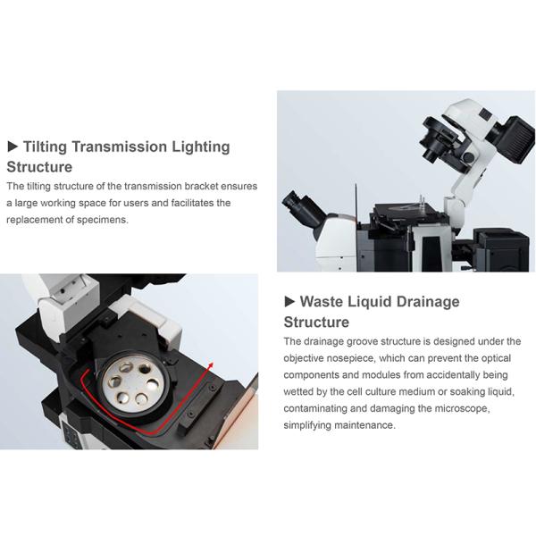 Opto Edu A16.0960 Research Level Inverted Fluorescent Microscope Motorized Nosepiece Condenser