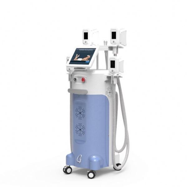 New vertical cryo slimming fat freezing liposuction Cryolipolysis machine for home use