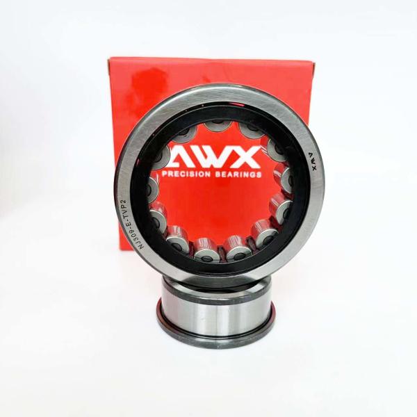 Industrial Cylindrical Roller Bearings With Steel Cage Material NJ2203-E-XL-TVP2 NJ303-E-XL-TVP2