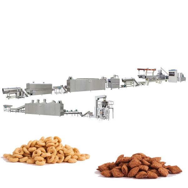 Automatic Kellog Corn Flakes Processing Line Turnkey Breakfast Cereal Extruder Machine