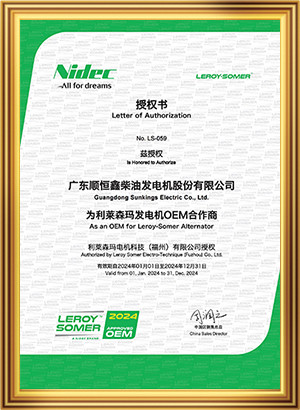 Guangdong Sunkings Electric Co., Ltd