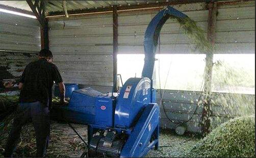 Professional Livestock Farming Equipment Easy Operate Animal Feed Cutting Machine