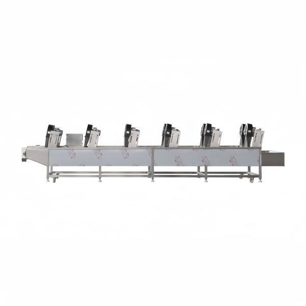 Customizable Vegetable Dehydrator 400kg Capacity for Home and Business Needs