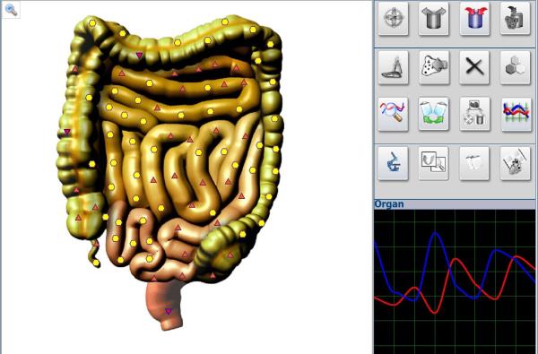 Healing Treatment Metatron Nls 4025 Hunter Body Analyzer for Bones Inspection Equipment