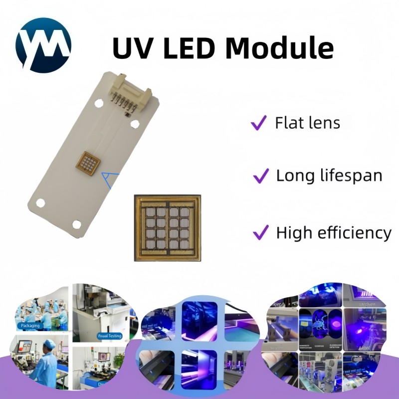 Custom Led Sign 50W 3535 LED High Power Violet Ultraviolet Light Lamp Module for Ink Curing UV Digital Printers