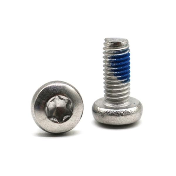 Stainless Steel DIN Pan Head Nylon Torx Screw Locking Screws