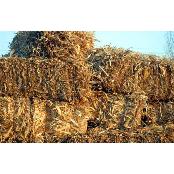 Солома пшеницы/черенок/альфальфа мозоли емкость производственной линии 500КГ/Х лепешки сена деревянная