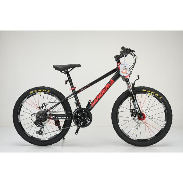 Стальная рама 20 дюймов WANDA 20 * 2.125 Шины Детский велосипед для прочного 21 скорости MTB