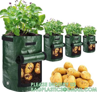 Potato Grow Bags, 4 Pack 10 Gallon With Flap And Handles Planter Pots For Onion, Fruits, Tomato, Carrot - Green