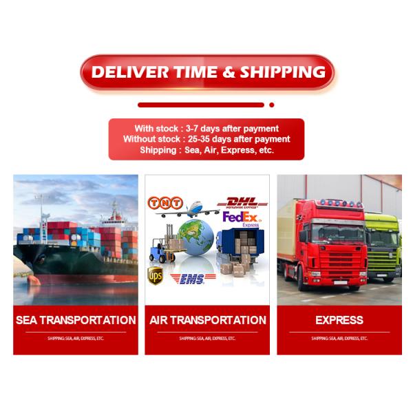 SQCS Заднего заднего фонаря для Tesla Model 3 1077398 107739800F 1077398-00-F Гарантия