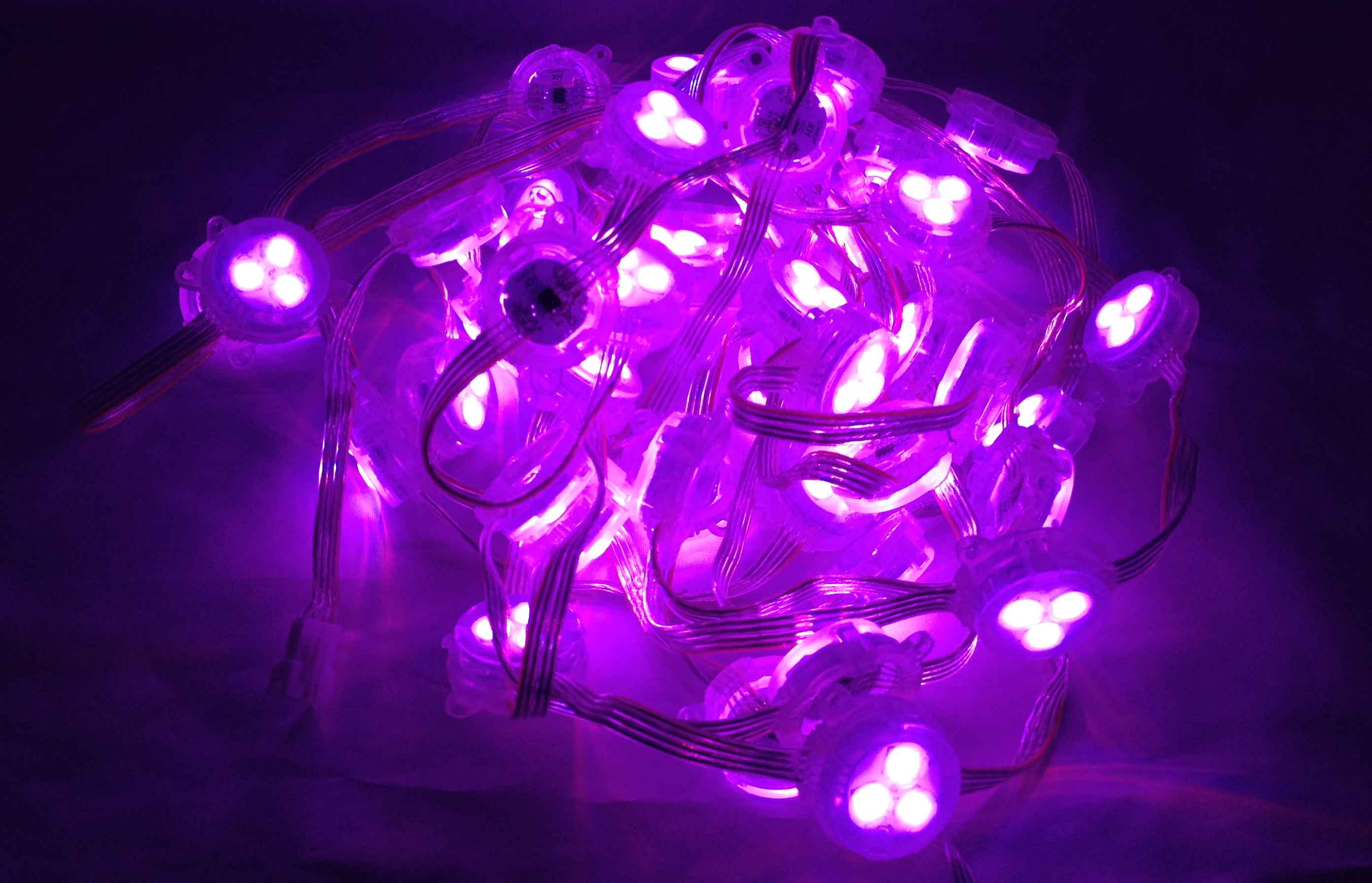Красный зеленый голубой занавес водить Fairy света цветовой температуры DC12V 1W пиксела Rgb