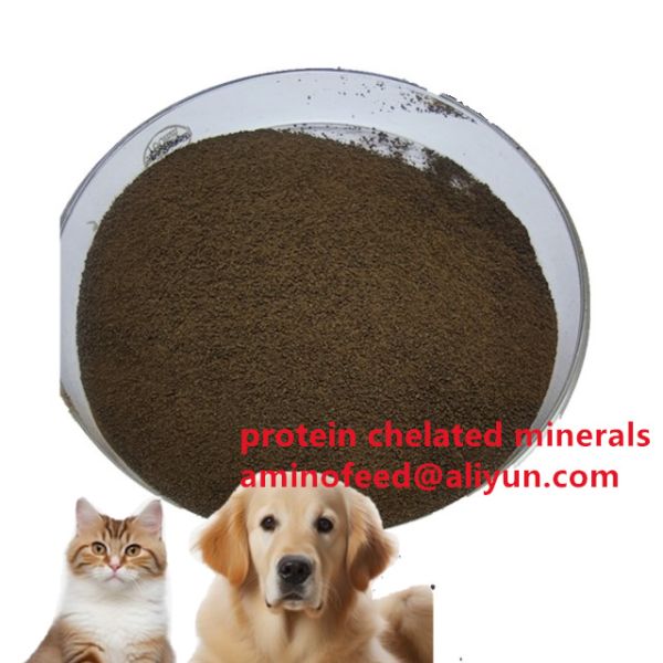Brown Powder Microbial Feed Additives With Crude Protein 70% In Ruminant Feeding