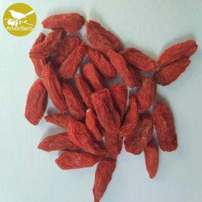 Amorberry Dried Goji Berry Medlar Chinese Tibet wolfberry wholesale with high quantity cheap price