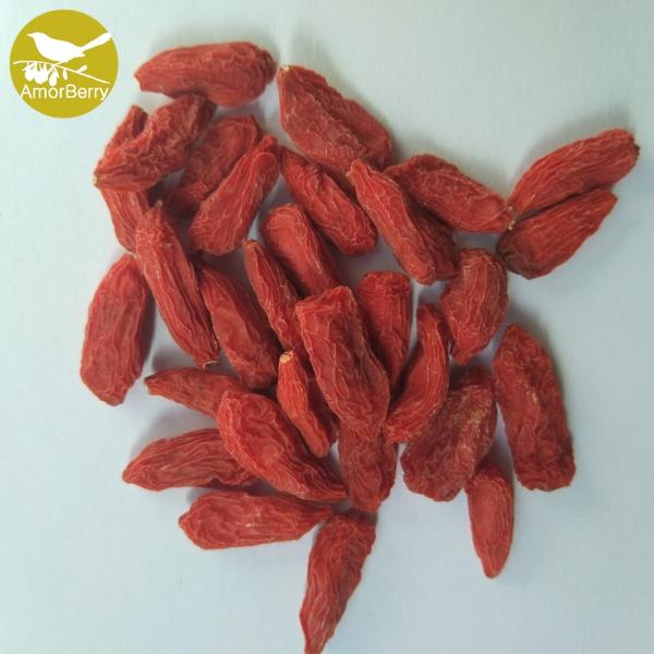 Amorberry Dried Goji Berry Medlar Chinese Tibet wolfberry wholesale with high quantity cheap price