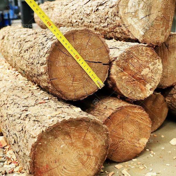 15-20T/H Capacity Diesel Tree Branch Shredding Machine Wood Pulverizer Wood Pallet Crusher