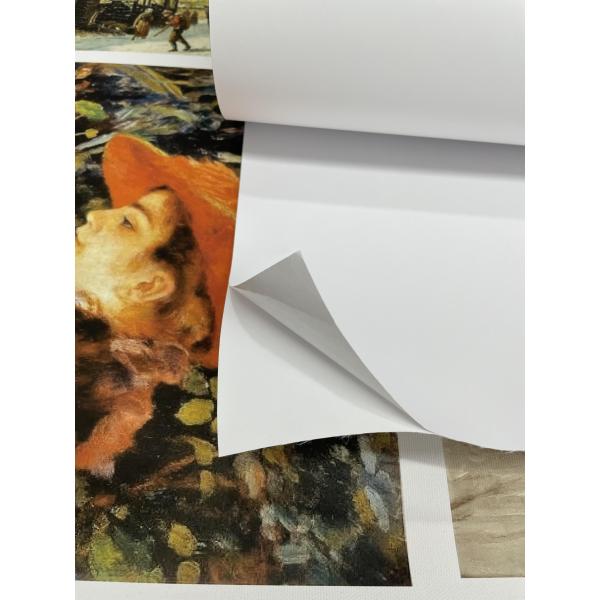 Aqueous Waterproof Inkjet Printing Matte Adhesive Polyester Canvas Roll