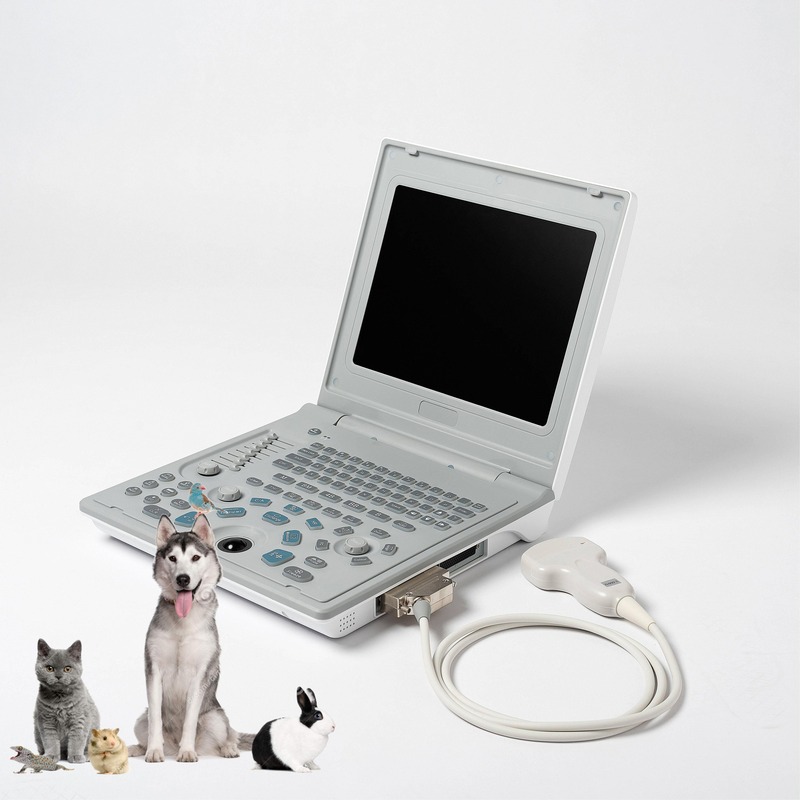 Hospital Outside Diagnostic Linear Ultrasound Machine Dog Ultrasound Machine Laptop Cow Pregnancy Sheep Scanner