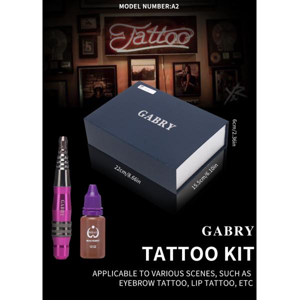 Babry Permanent Makeup Tattoo Machine Kit for Eyebrows Eyeliner Lips Tattoo Factory OEM