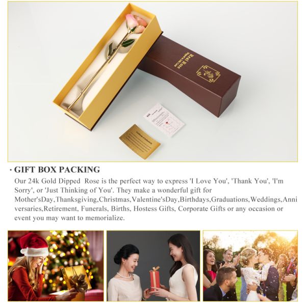 Hot Sale Gold Trimmed Rose Flower Girlfriend Gift 24k Gold Plated Natural Rose for Valentine's Day, Mother's Day Gifts