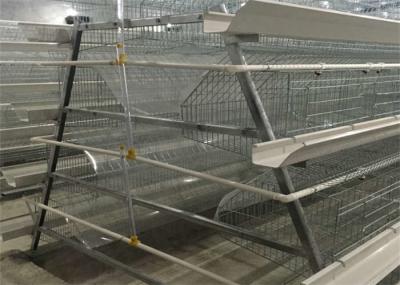 4 Tier 5 Doors Layer Chicken Cage 2300mm Width Poultry Layer Cage