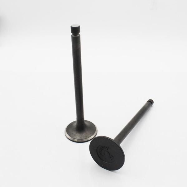 Вытыхание входа клапана двигателя дизеля ME065587 ME091559 для Мицубиси 8DC11 8DC9