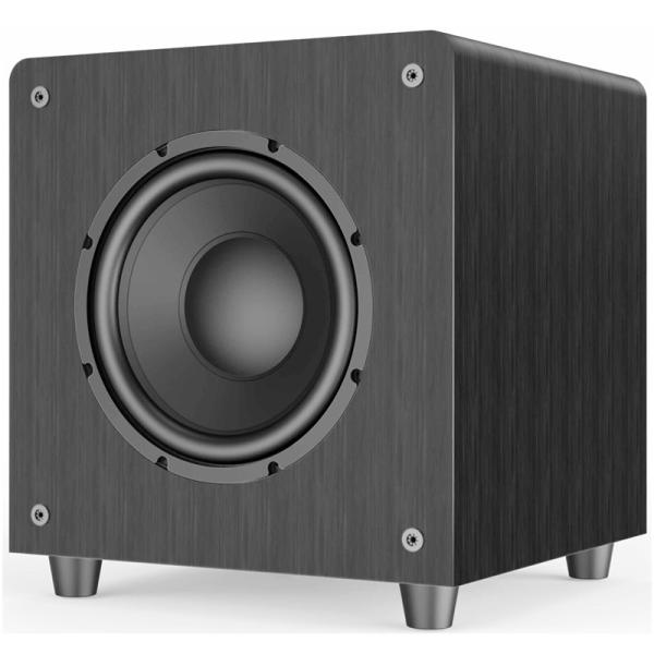 12 Inch 10 Inch Subwoofer Home Theater 500 Watts With Brushed Black Vinyl OEM