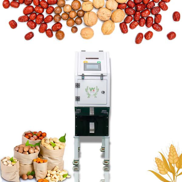 Mini Cashew Nut Color Sorter Machine With CKD Filter