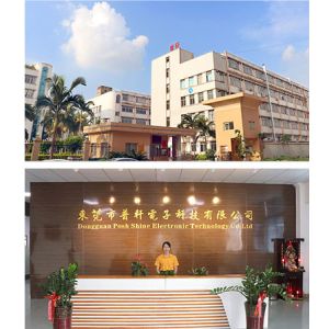 DongGuan Posh Shine Electronic Technology Co., Ltd