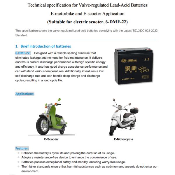 12v 22ah Lead Acid Ebike Battery Rechargeable 6-DMF-22 6.38+-0.02kg Weight