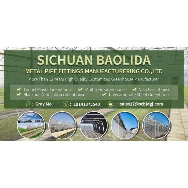 Анти- старея садовнический алюминиевый шатер парника с листовым стекл