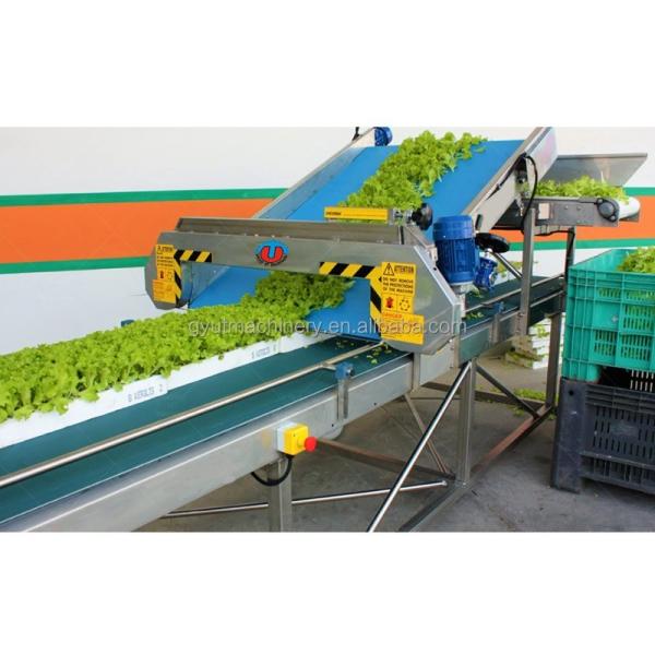 65kg de peso Microgreens Máquina de colheita hidropônica perfeita para espaços pequenos