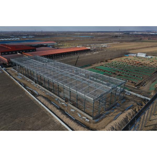 Industrial Style Prefabricated Steel Structure Aircraft Hangars with Customizable Options for Secure Storage
