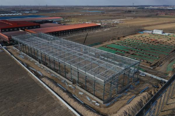 Q235B Q355B Economical Steel Structure Warehouse Prefabricated Steel Buildings