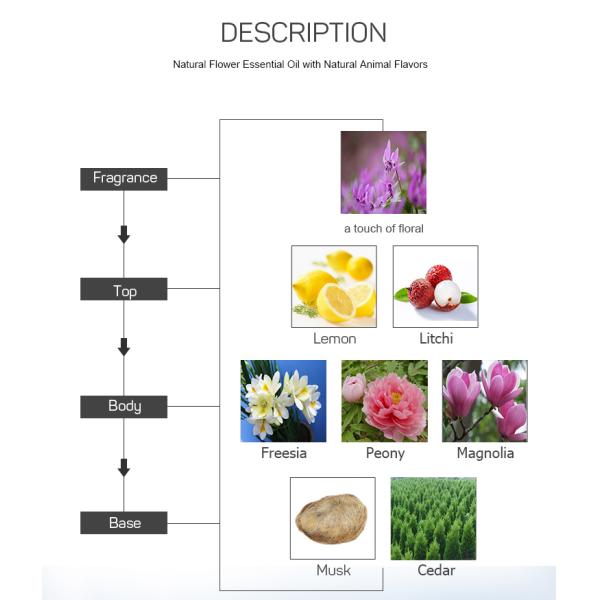 Pure Plant Therapy Oils , Light Yellow Liquid Essential Oils For Home