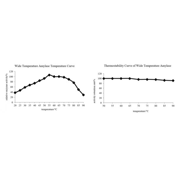 20000U White Alpha Amylase Powder Cas 9000 90 2 For Premix -Heat Stable Alpha Amylase